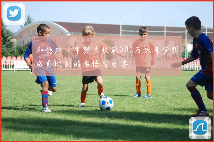 加德纳三年努力收获507万认可梦想成真时刻的感悟与分享